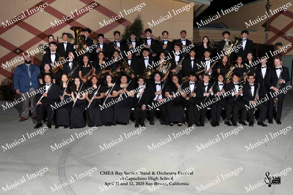 Musical Images